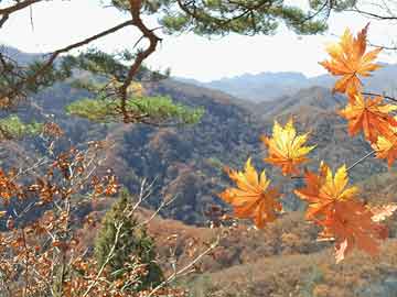 米非打胎药怎么购买的去医院看打胎药多少钱（去医院吃打胎药多少钱）